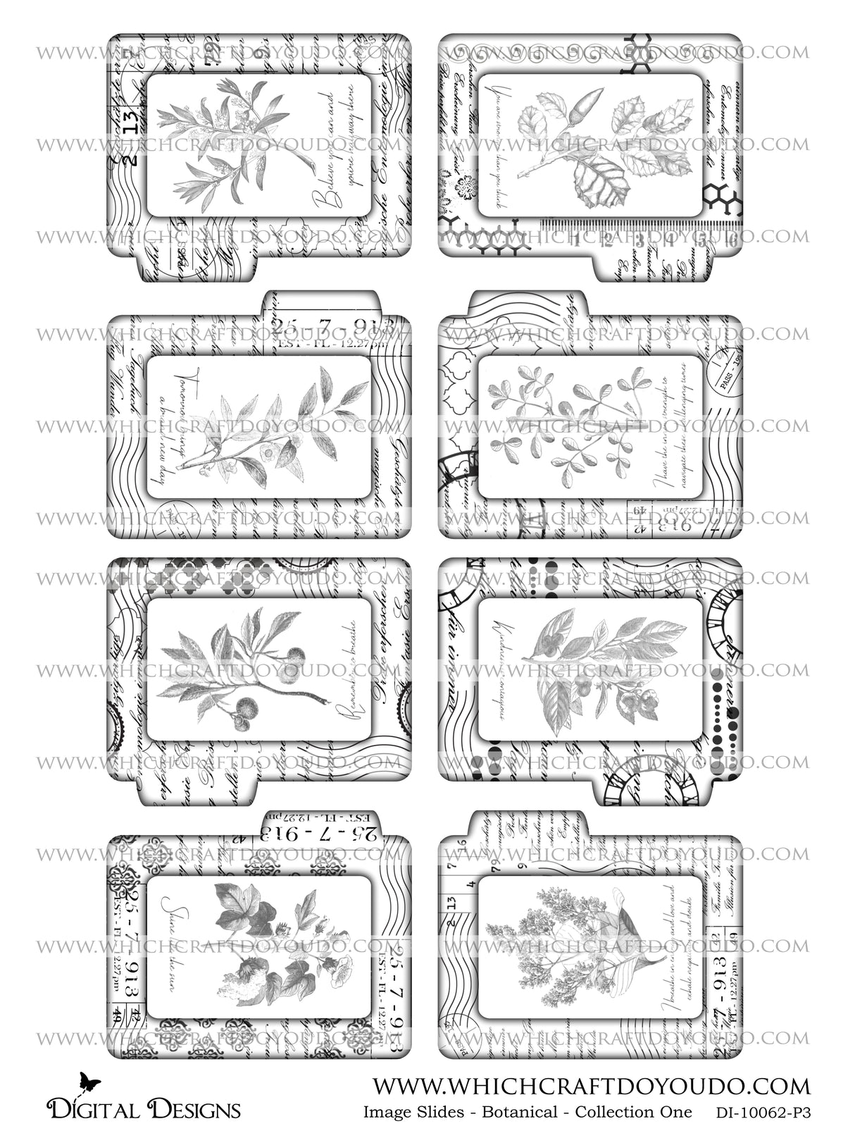Image Slides - Botanical - Collection One - DI-10062 - Digital Download