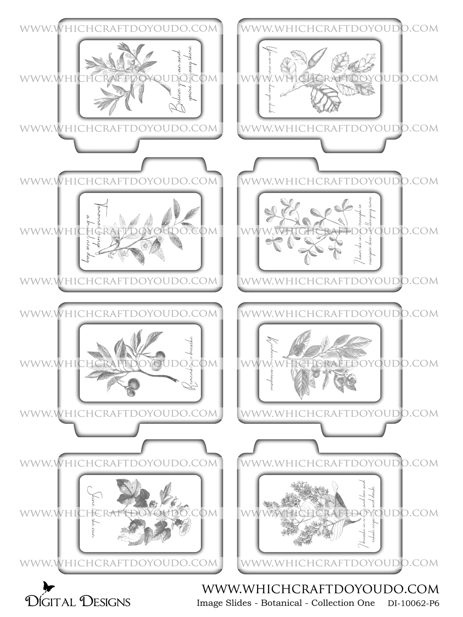 Image Slides - Botanical - Collection One - DI-10062 - Digital Download