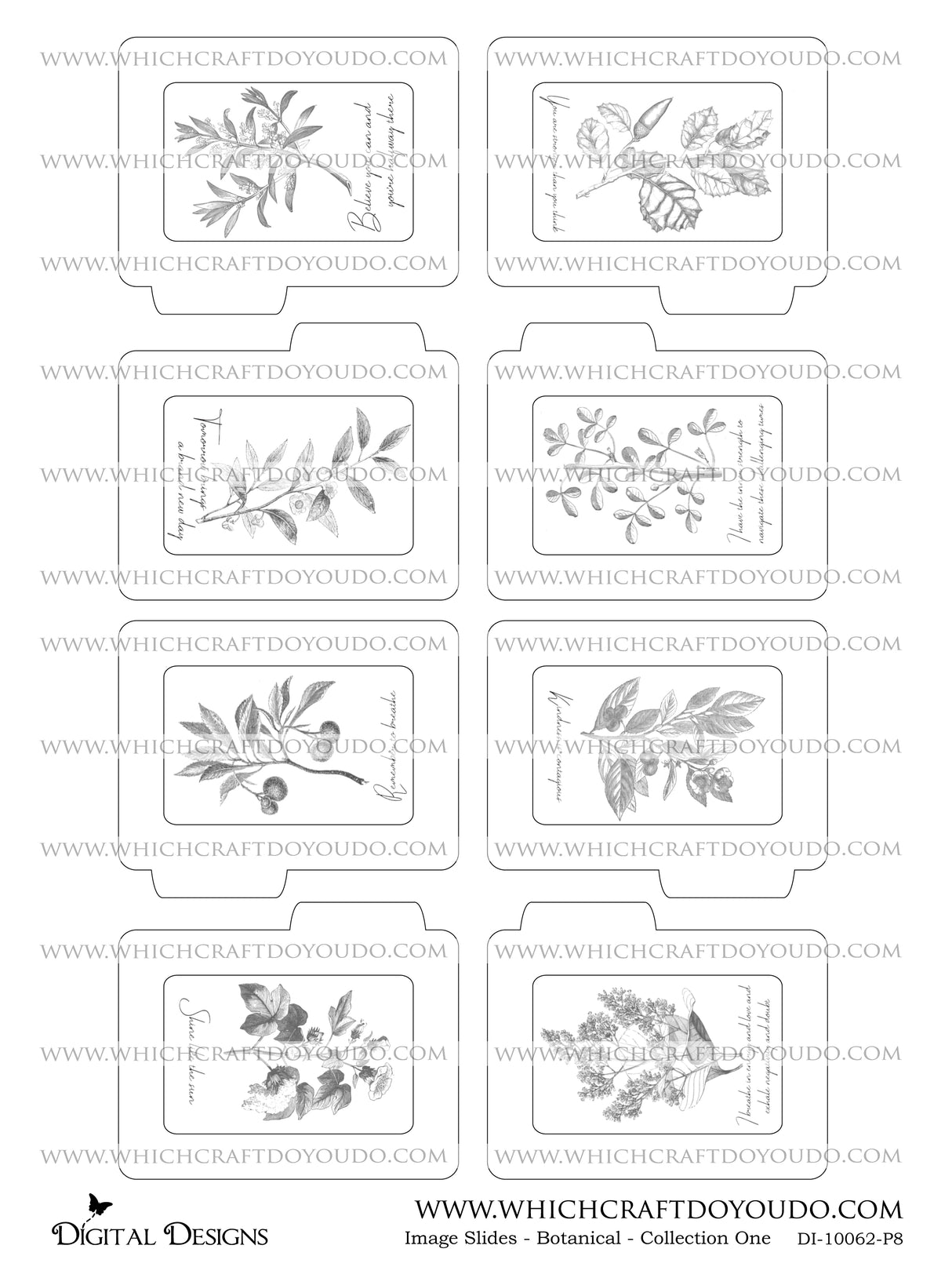 Image Slides - Botanical - Collection One - DI-10062 - Digital Download
