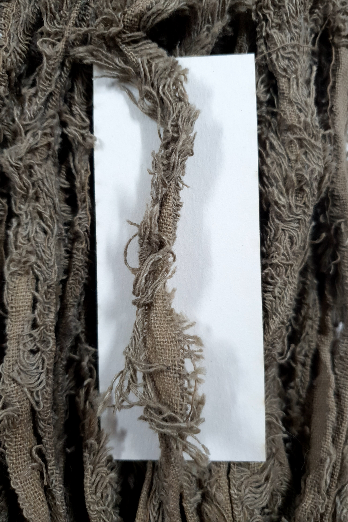 Cotton Frizz Ribbon - Khaki - Hank