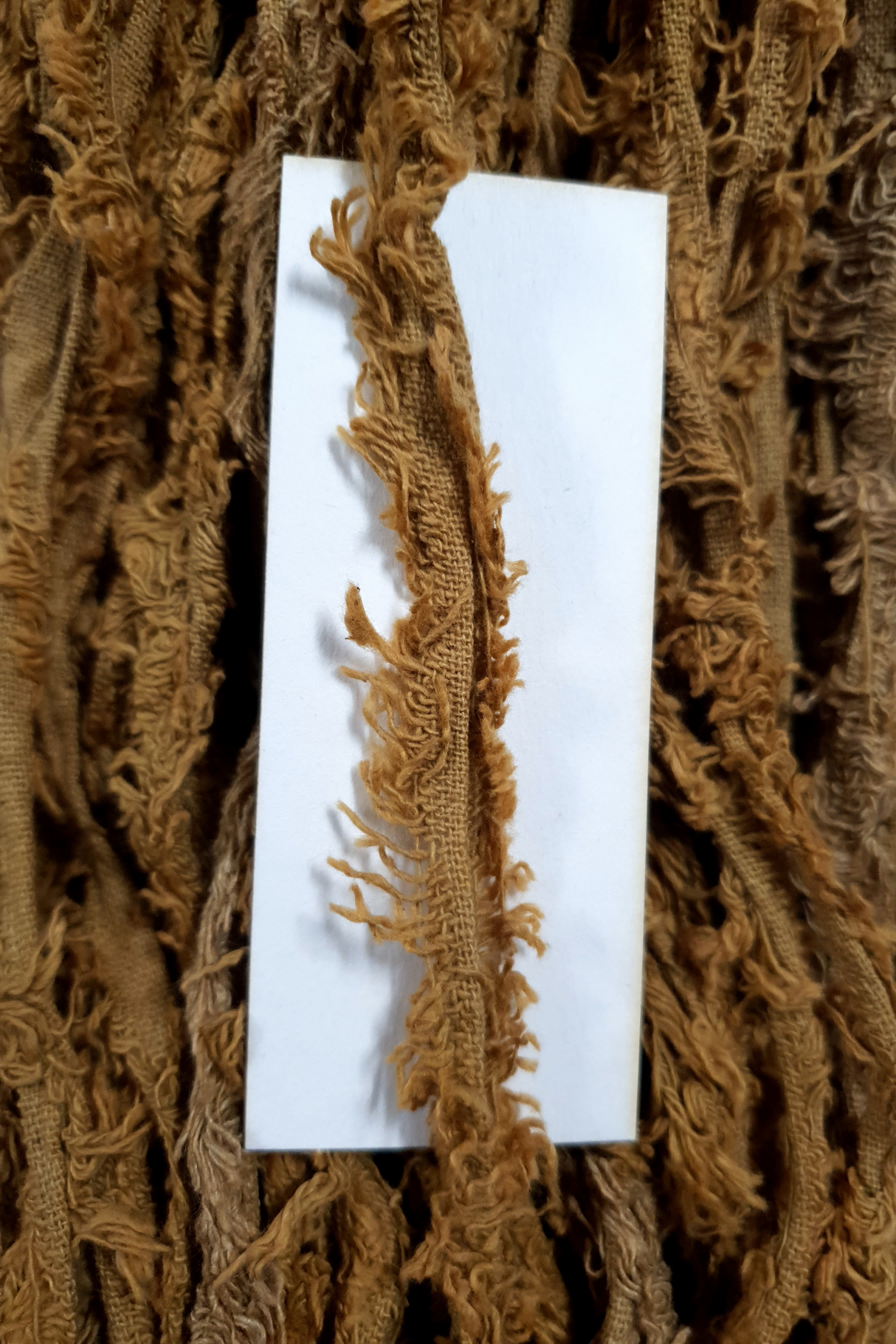 Cotton Frizz Ribbon - Mustard Seed - Hank