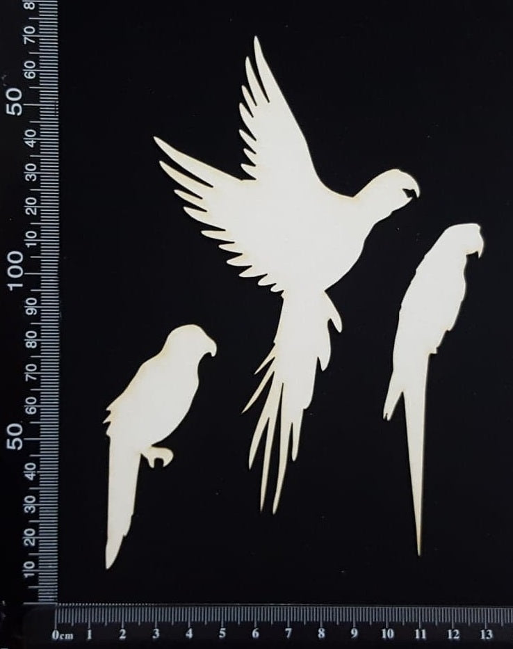 Parrot Set - White Chipboard