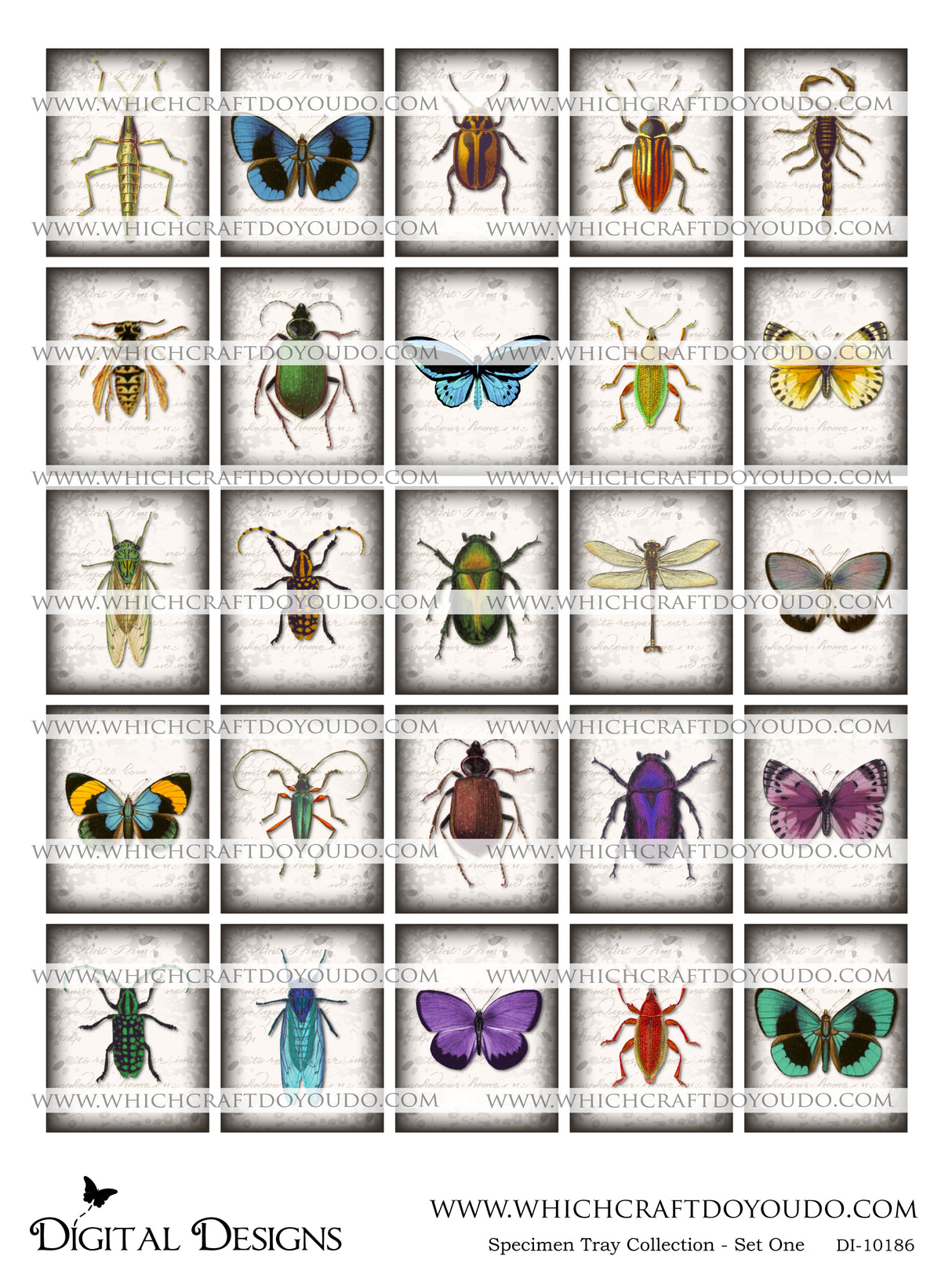 Specimen Tray Collection - Set One - DI-10186 - Digital Download