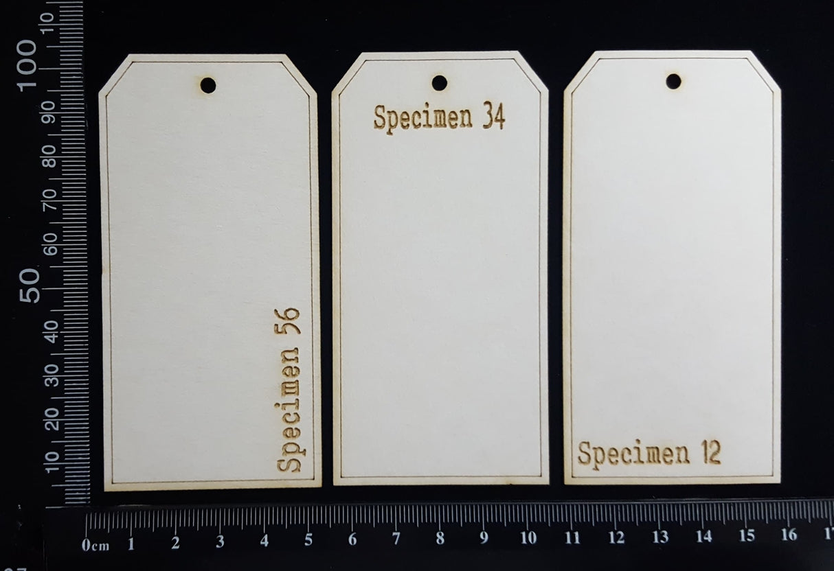 The Collector Tag Set - Small - Specimen - White Chipboard