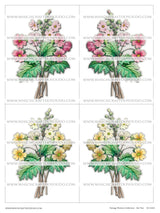 Vintage Flowers Collection - Set Two - DI-10225 - Digital Download