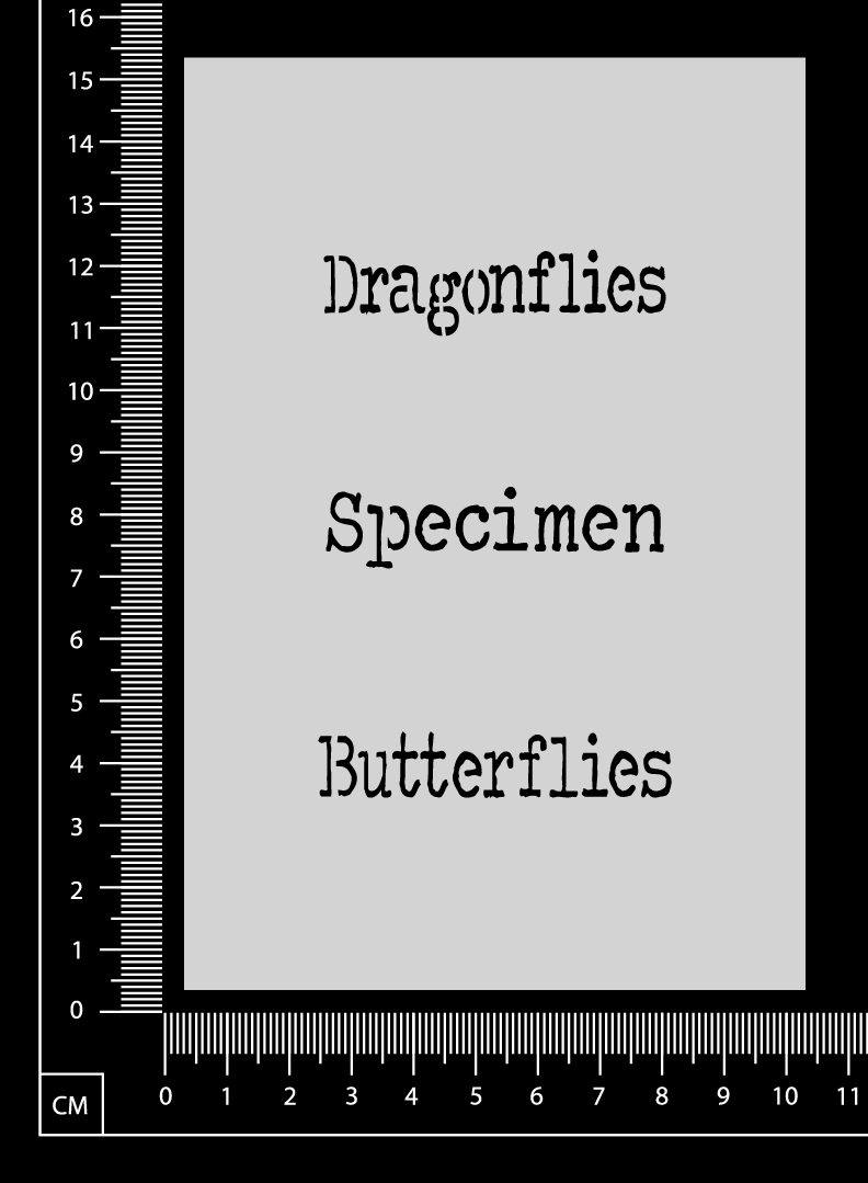 Vintage Words Set - Specimen - Stencil - 100mm x 150mm