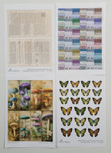 Whichcraft Box of Goodies - Limited Edition Box - Vintage 12