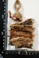 Mini Fantasy Fibres - 102