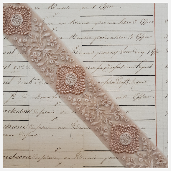 Embroidered Trim - 1 Meter  - (ITR-1103)