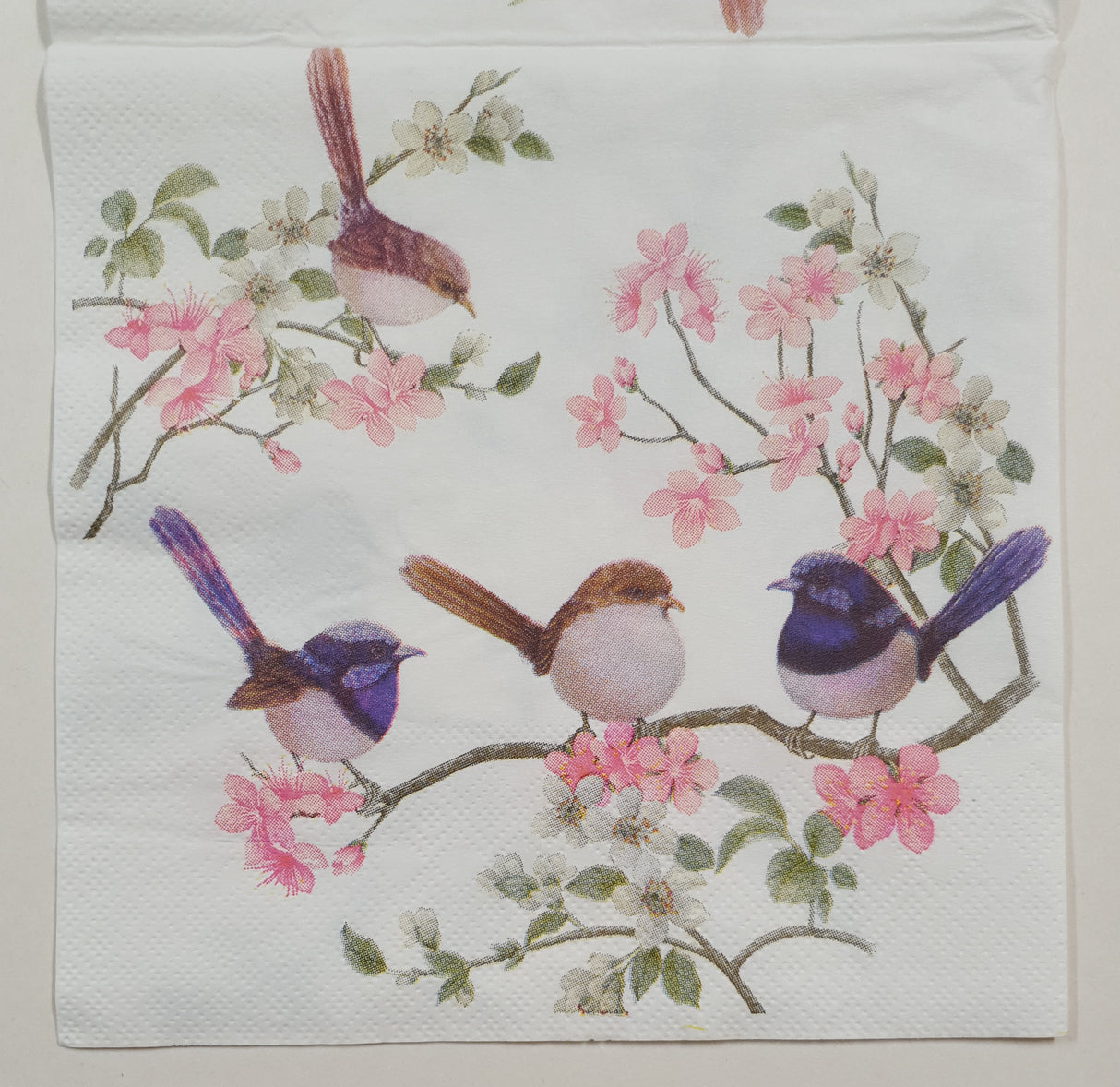 Decoupage Napkin - (DN-8275) - Birds