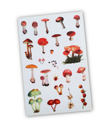 Washi Stickers - 2301