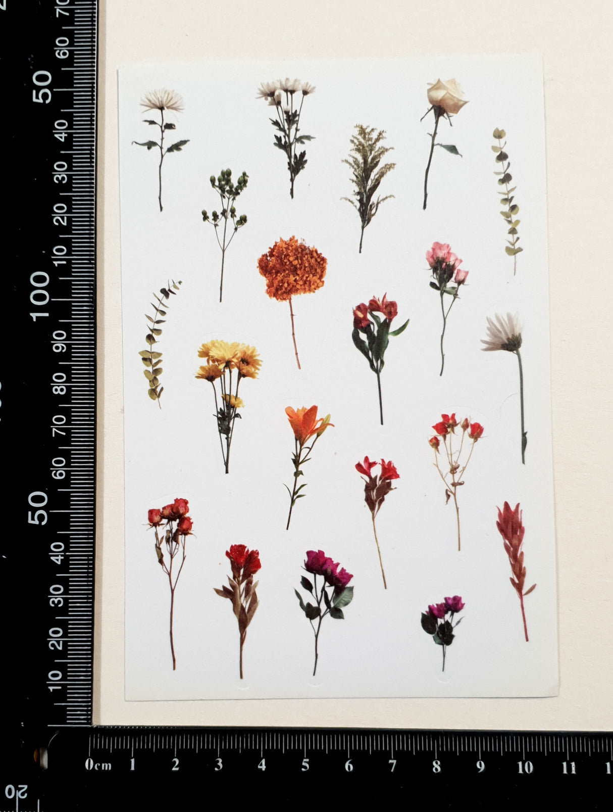 Washi Stickers - 2302