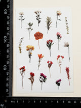 Washi Stickers - 2302