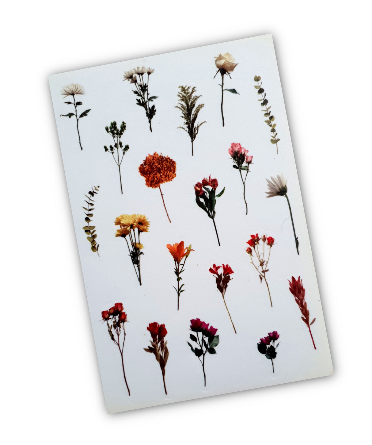 Washi Stickers - 2302
