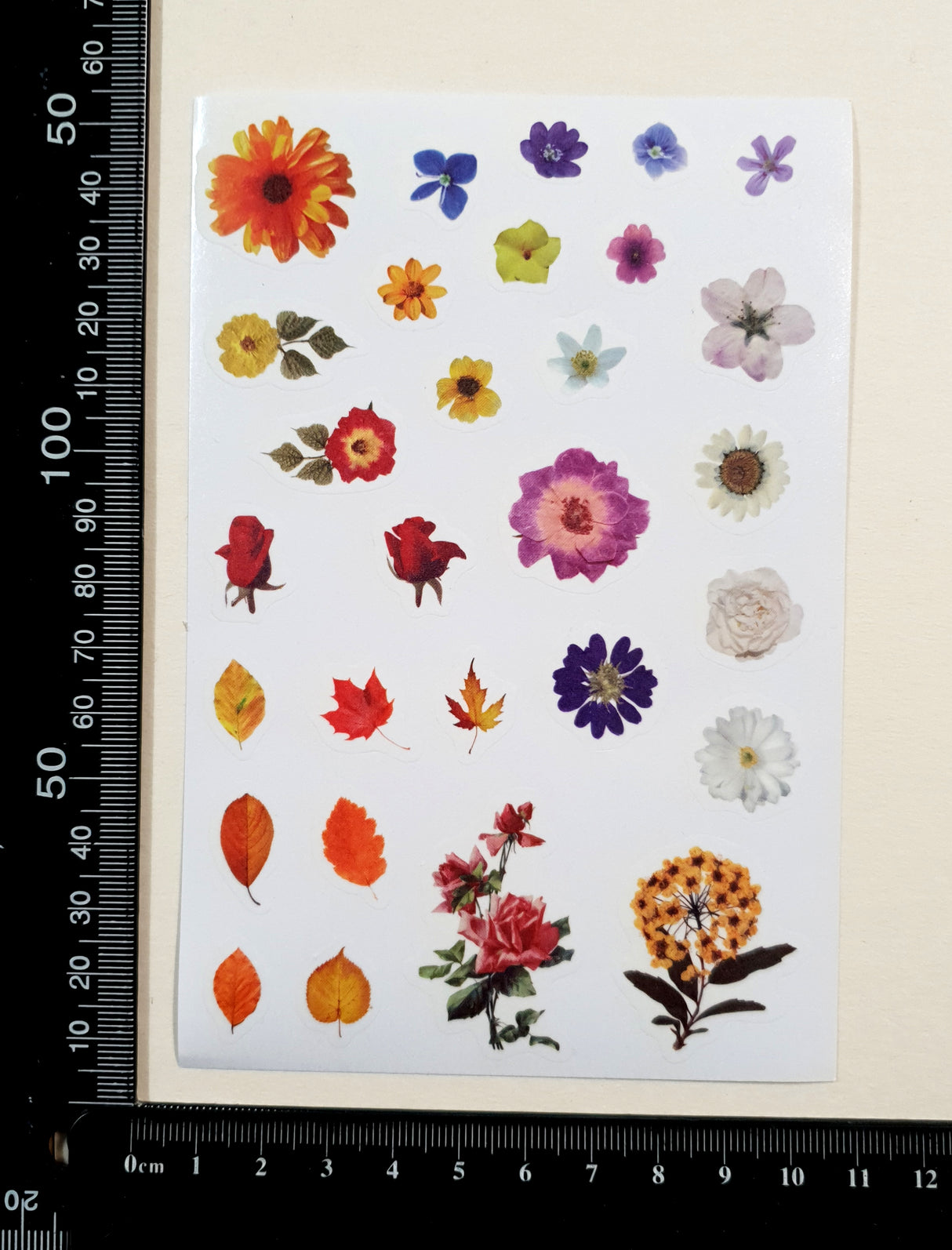 Washi Stickers - 2304