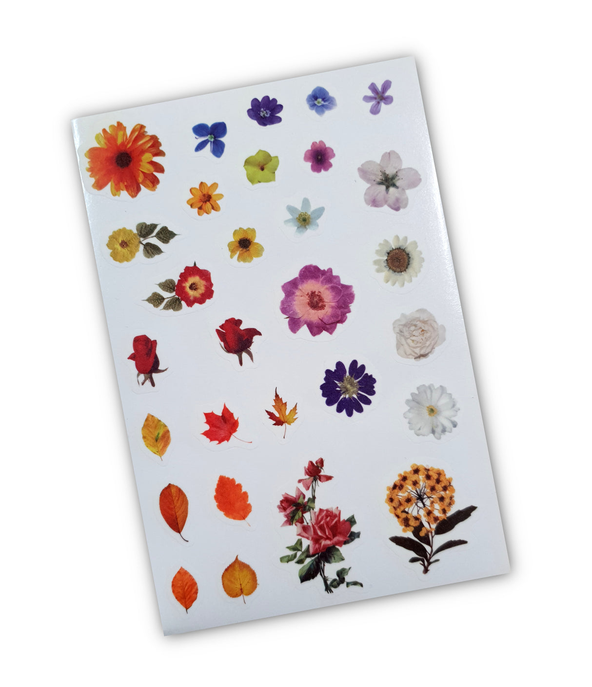Washi Stickers - 2304