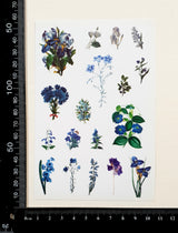 Washi Stickers - 2305
