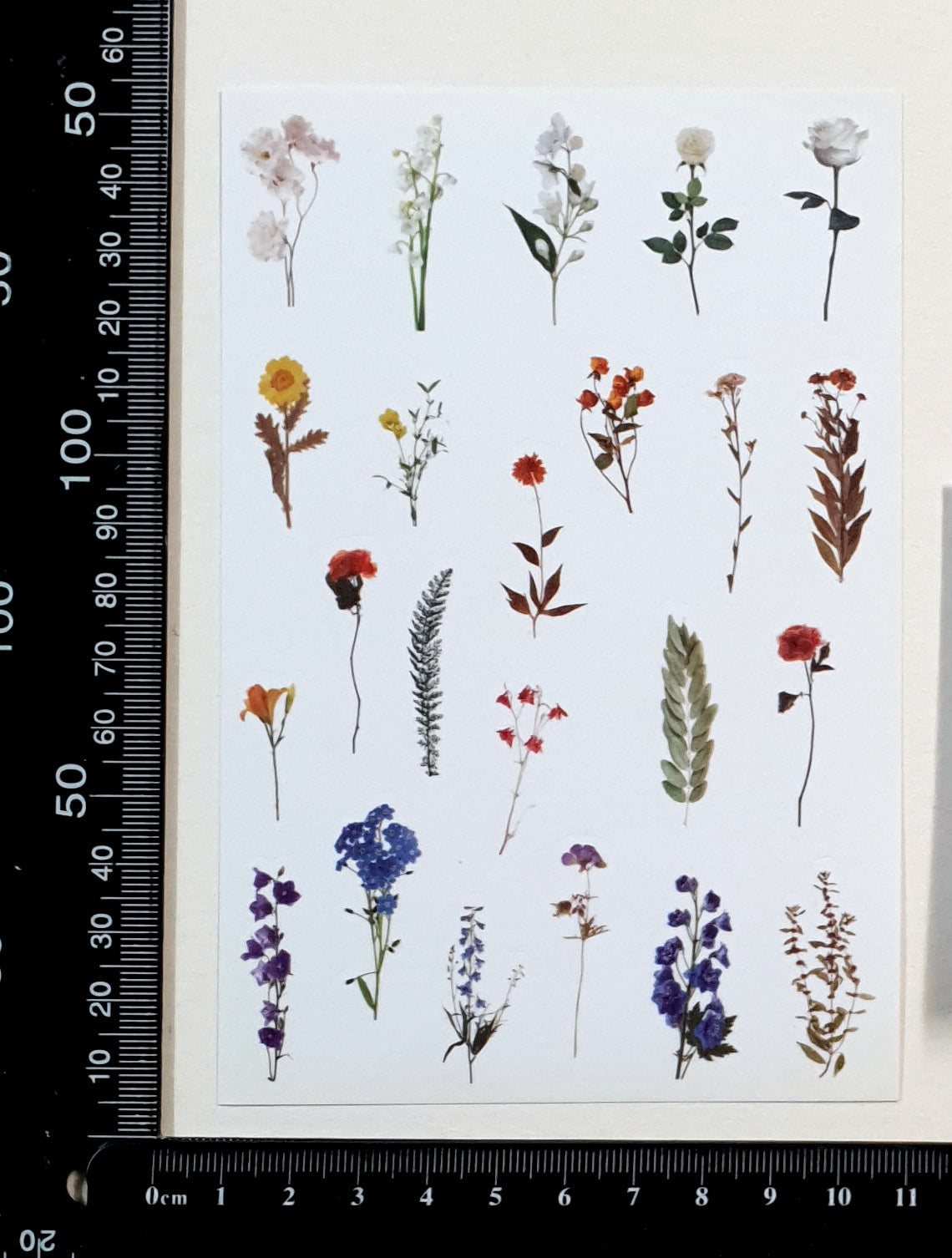 Washi Stickers - 2307