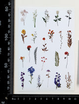 Washi Stickers - 2307