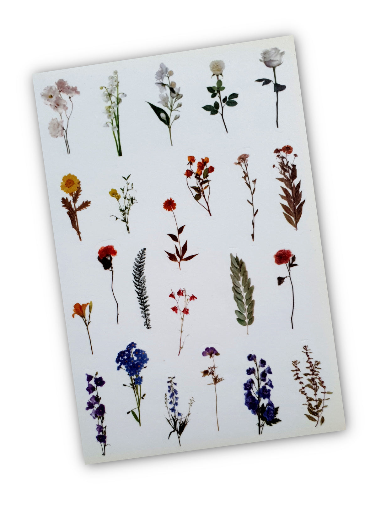 Washi Stickers - 2307