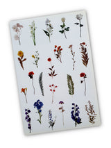 Washi Stickers - 2307