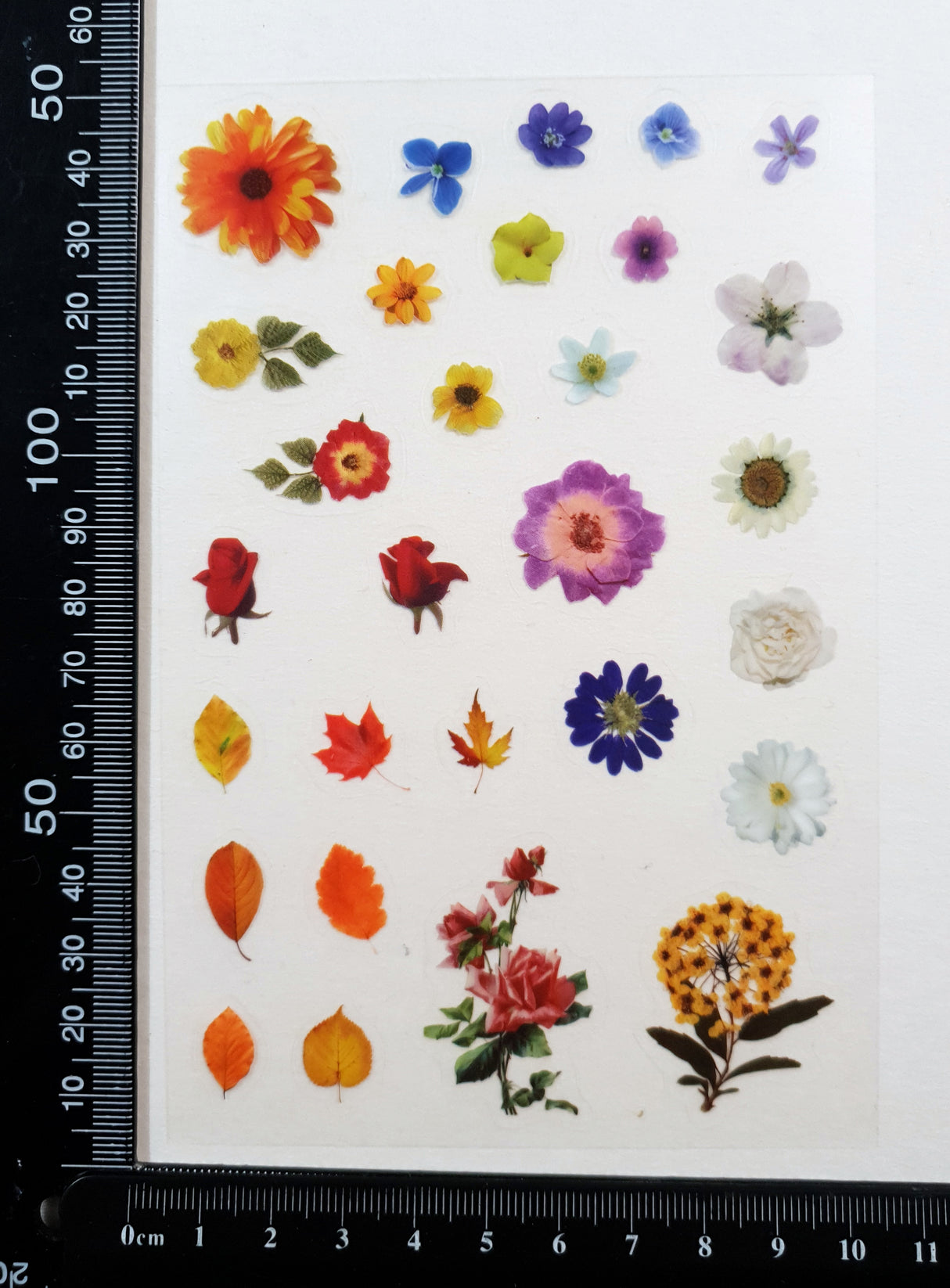 Clear Stickers - 2310