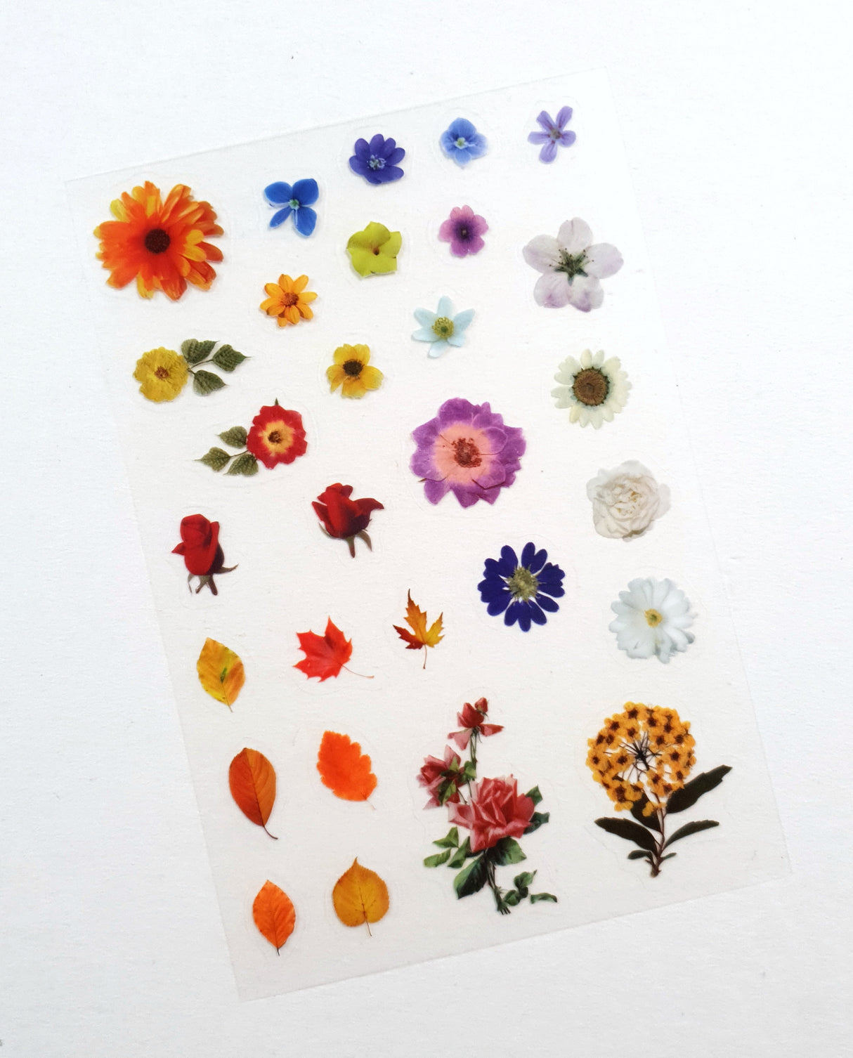 Clear Stickers - 2310