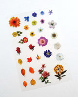 Clear Stickers - 2310