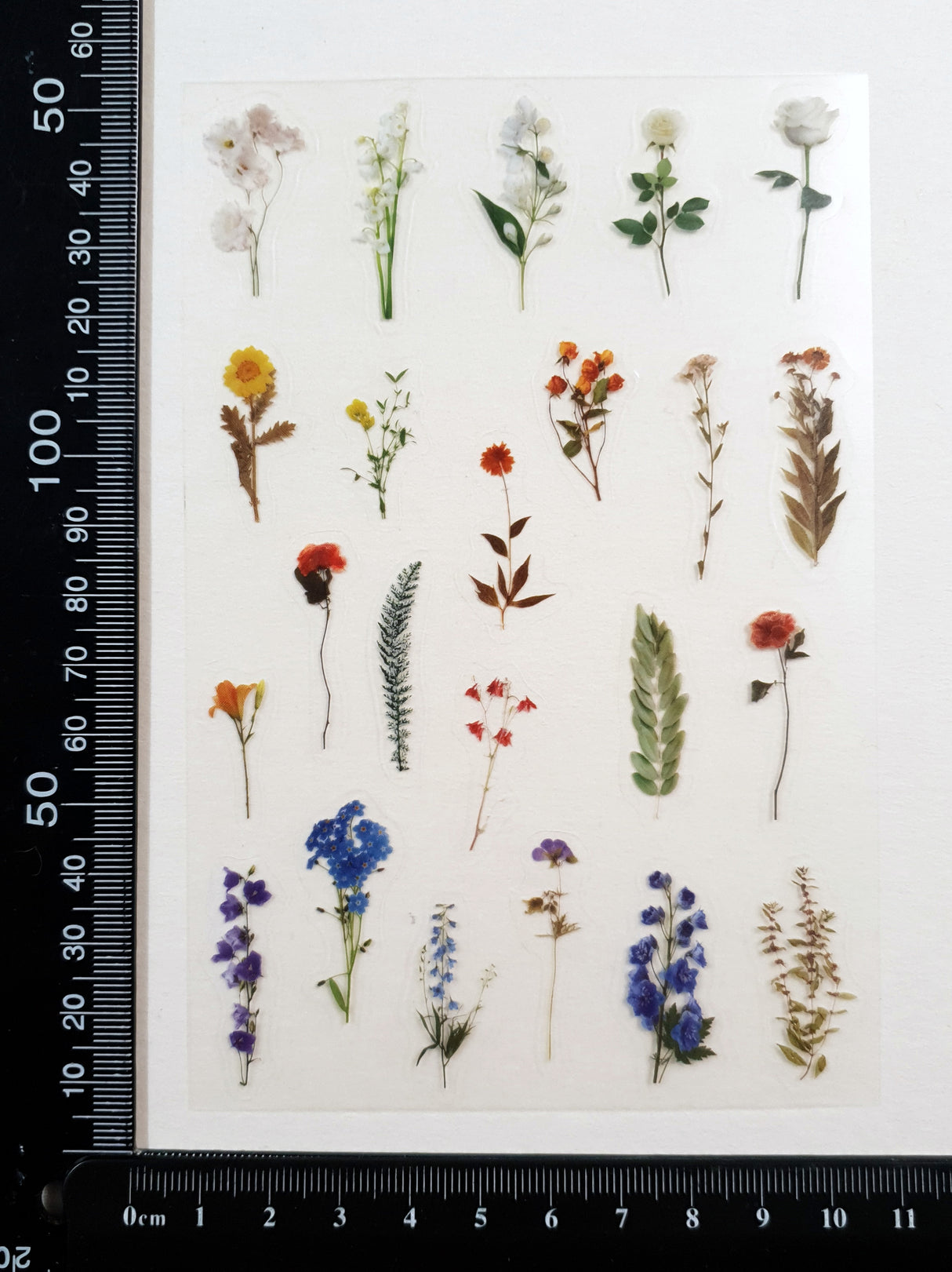 Clear Stickers - 2311