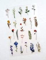 Clear Stickers - 2311
