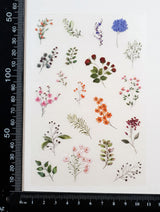 Clear Stickers - 2312