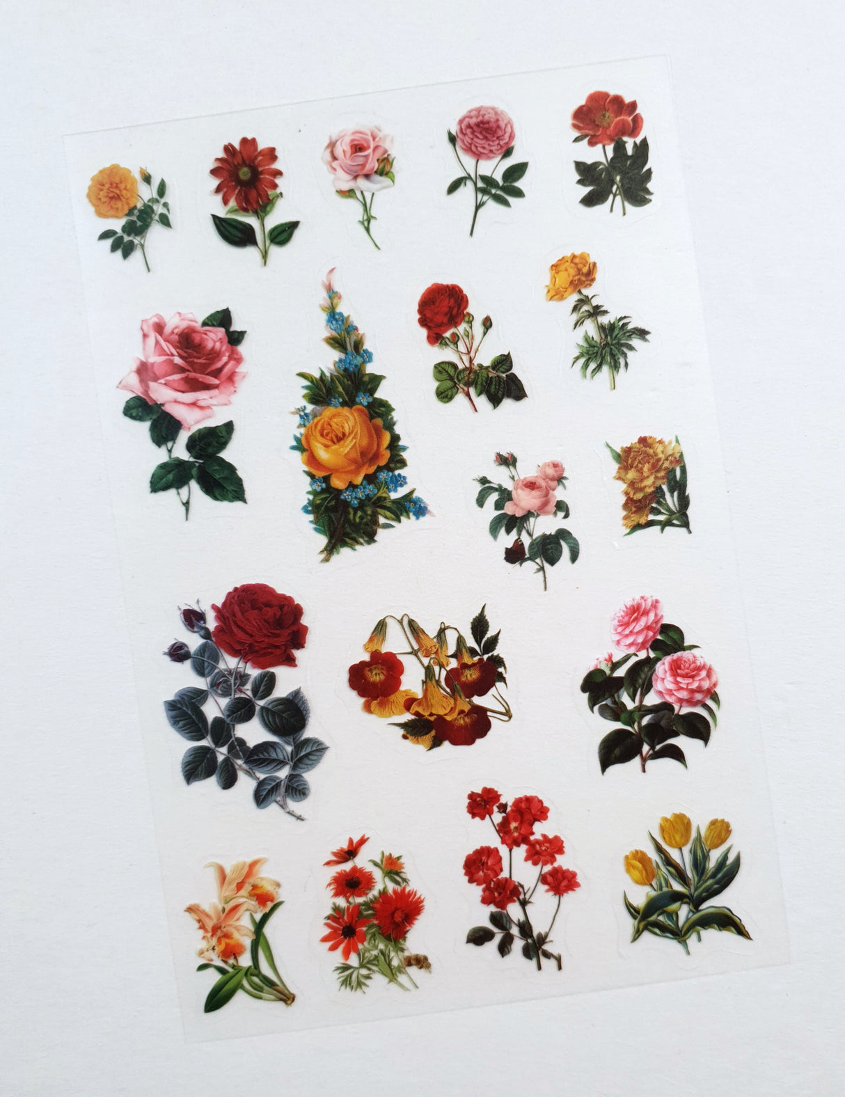 Clear Stickers - 2313
