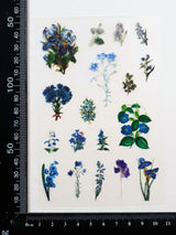 Clear Stickers - 2314