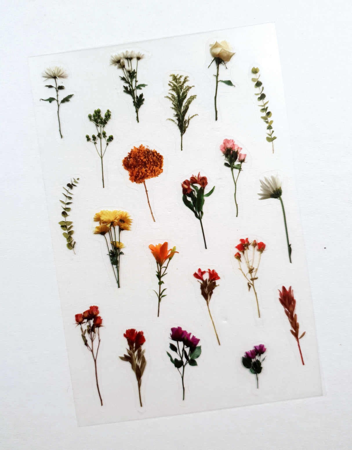 Clear Stickers - 2316