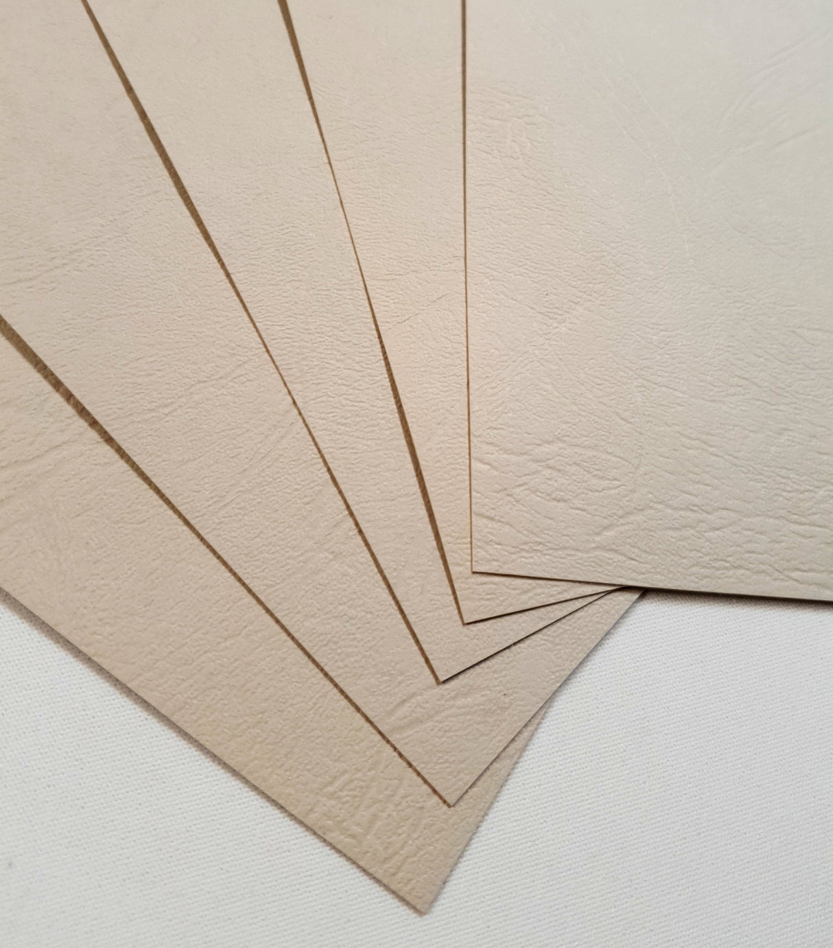 Leather Textured - Card Stock - Bone