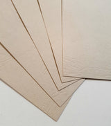 Leather Textured - Card Stock - Bone