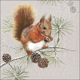 Decoupage Napkin - (DN-8858) - Squirrel in Winter