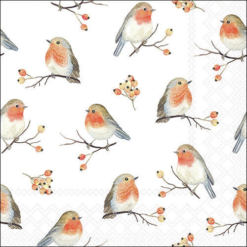 Decoupage Napkin - (DN-8879) -  Robin family