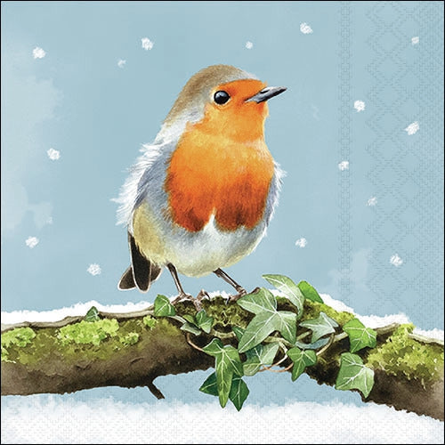 Decoupage Napkin - (DN-8837) - Robin on Branch