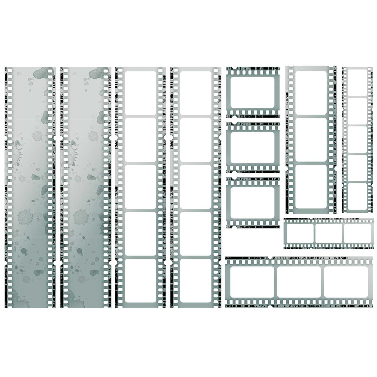 49 and Market - Acetate Filmstrips - Eucalyptus