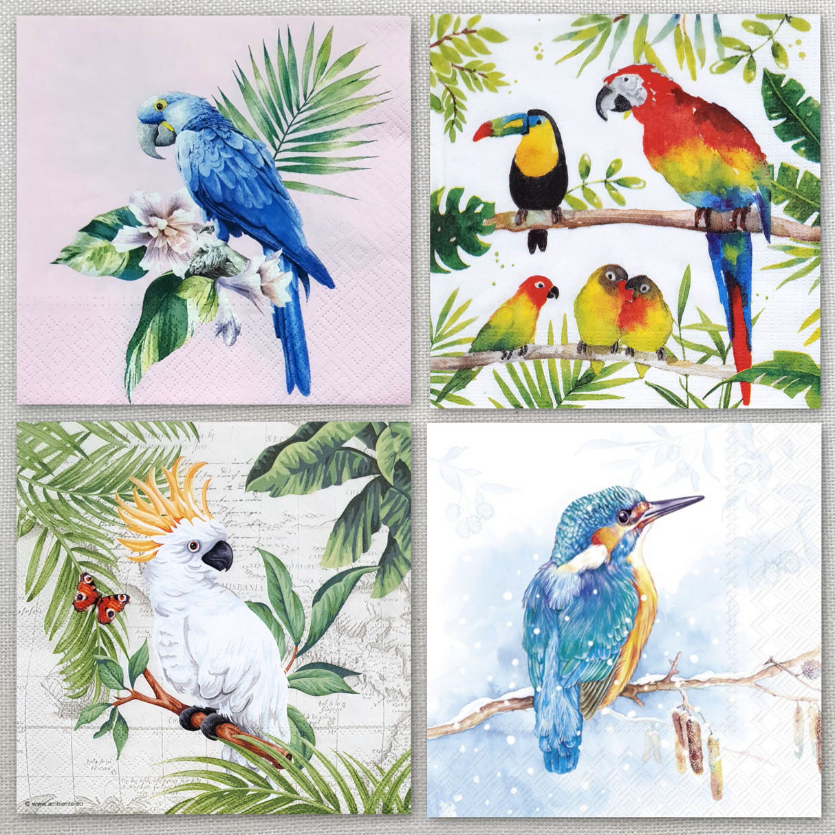 Decoupage Napkins - Set of 4 - (DN-5045)