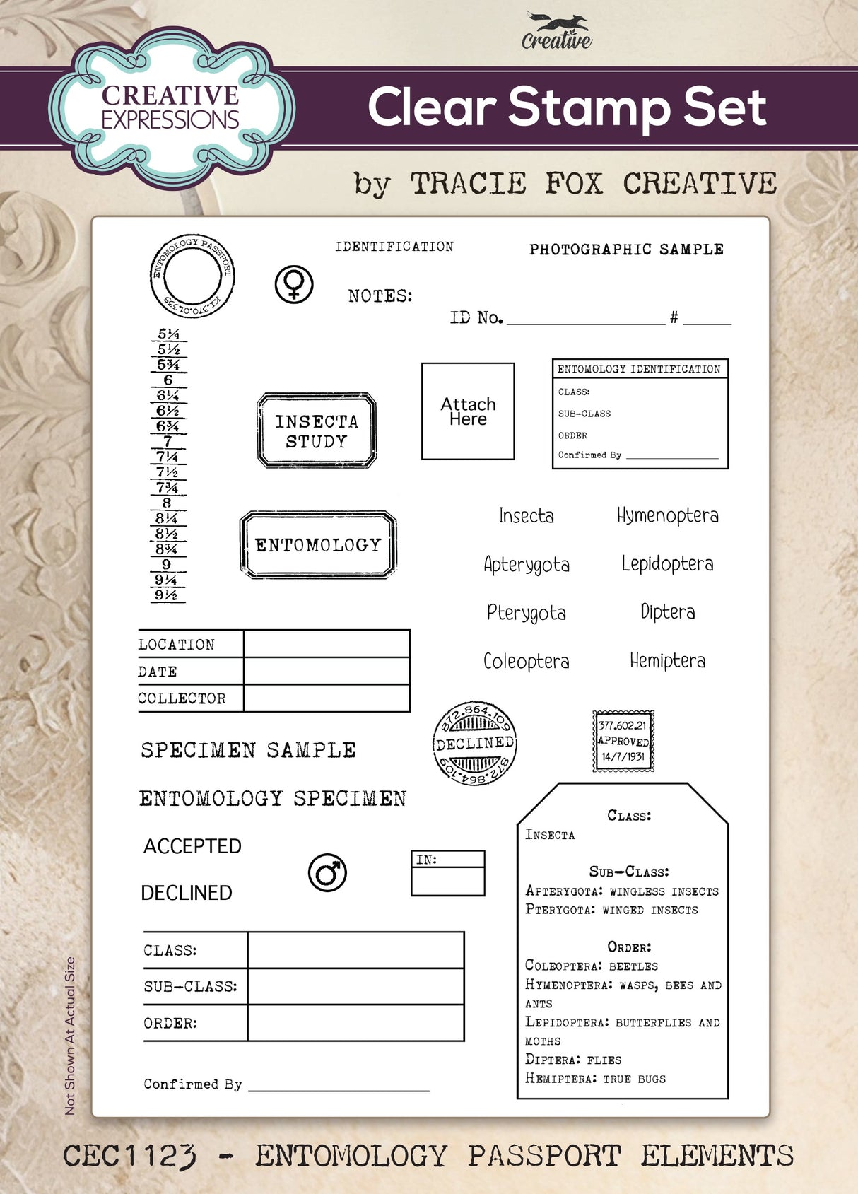 Creative Expressions - Tracie Fox - Entomology Passport Elements - Clear Stamp Set