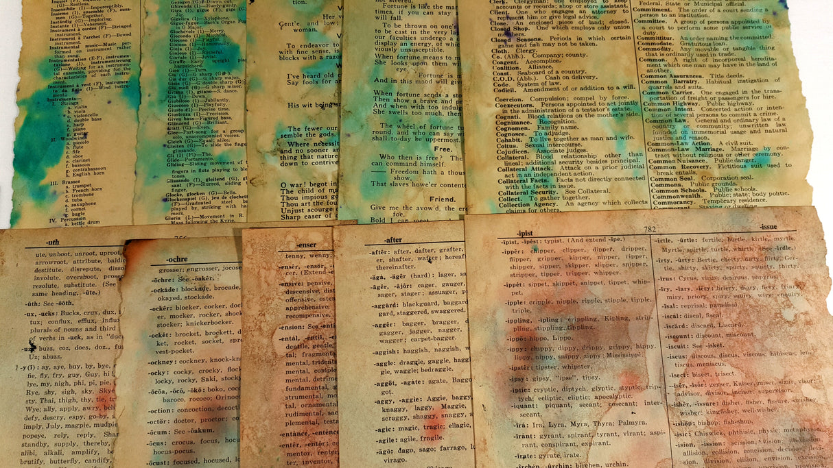 Motherloads Hand Dyed Pages Pack - 722