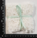 Lace Sampler - 8001