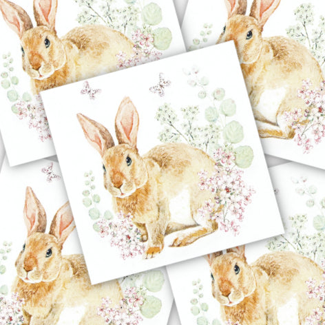 Decoupage Napkin - (DN-8006) - Rosi Rabbit - Set of 5