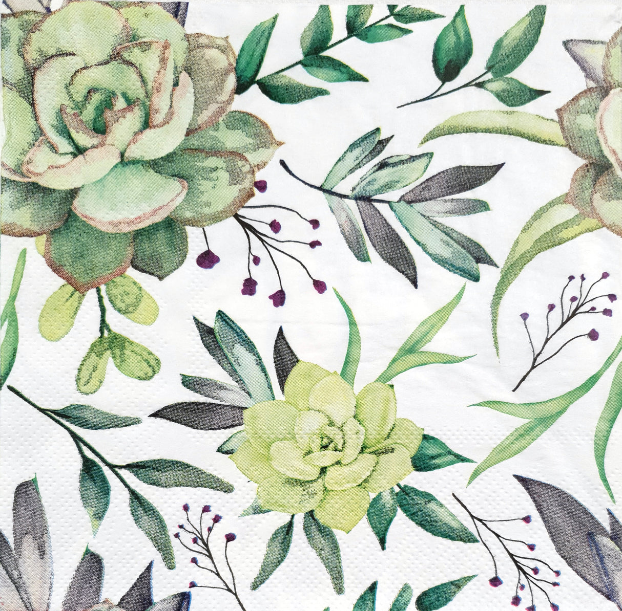 Decoupage Napkin - (DN-8011) - Succulents