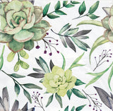 Decoupage Napkin - (DN-8011) - Succulents