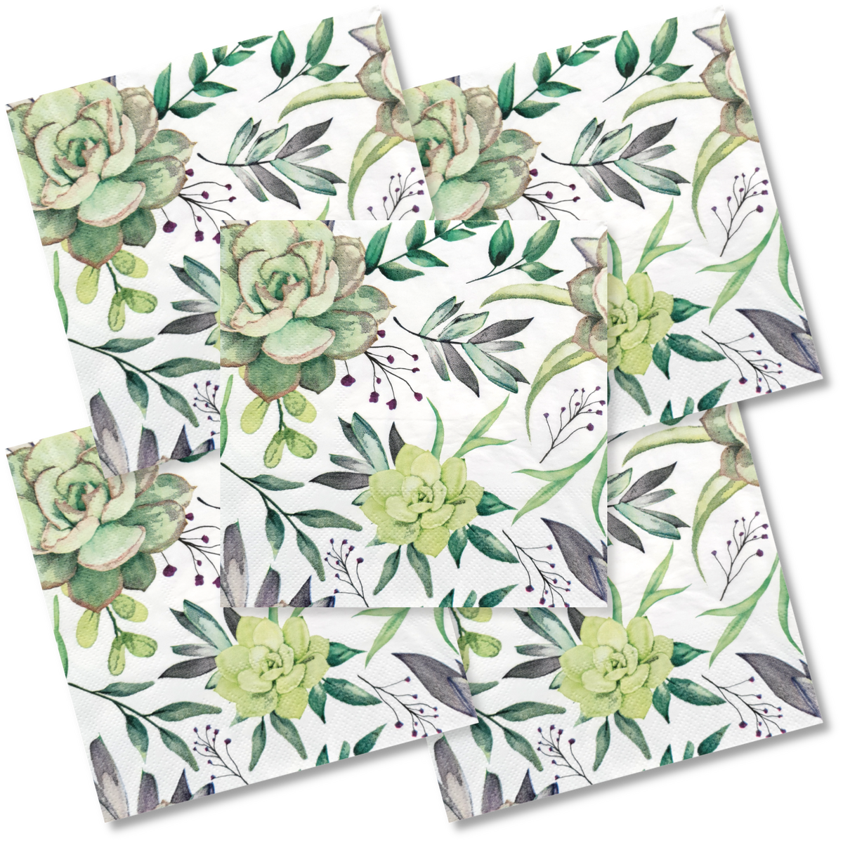 Decoupage Napkin - (DN-8011) - Succulents - Set of 5