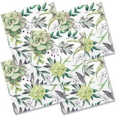Decoupage Napkin - (DN-8011) - Succulents - Set of 5