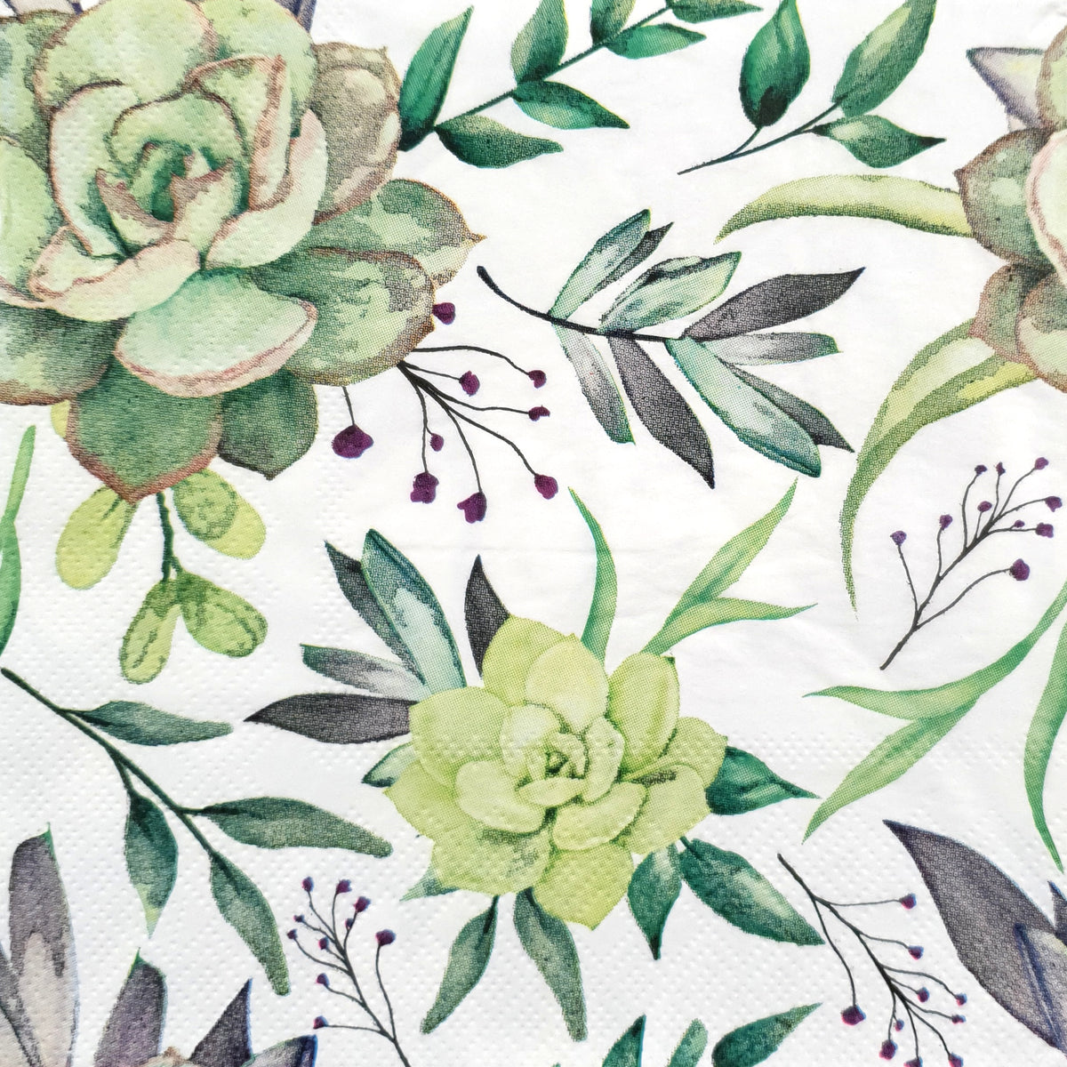 Decoupage Napkin - (DN-8011) - Succulents - Set of 5